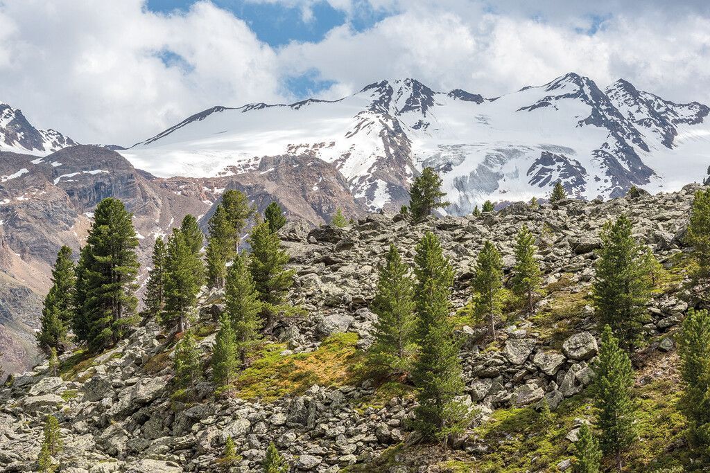 Nationalpark Stilfserjoch