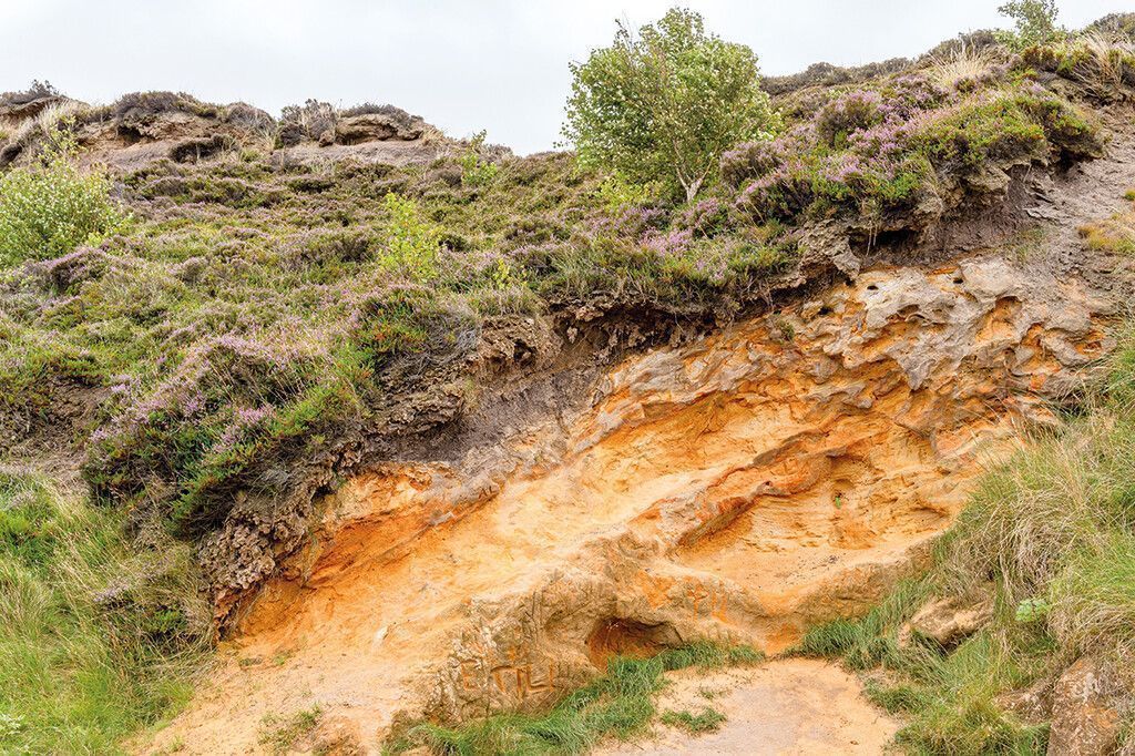 Bedeutendes Geotop in Morsum