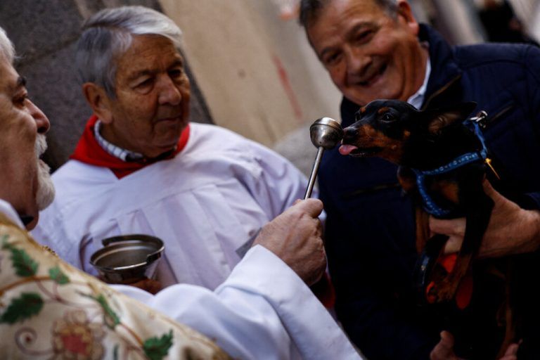 Scheint zu schmecken: In Madrid wurde am Tag des Schutzpatrons der Tiere auch ein Dackel mit Weihwasser gesegnet. Reuters