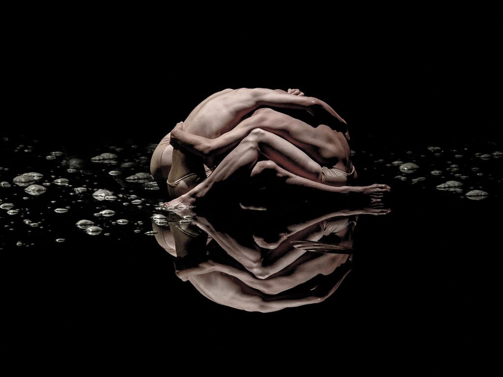Landeshauptstadt lädt zum 36. Internationalen Tanzfestival