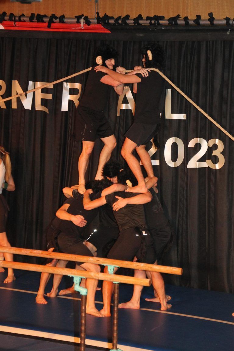 Tanz, Show und Akrobatik