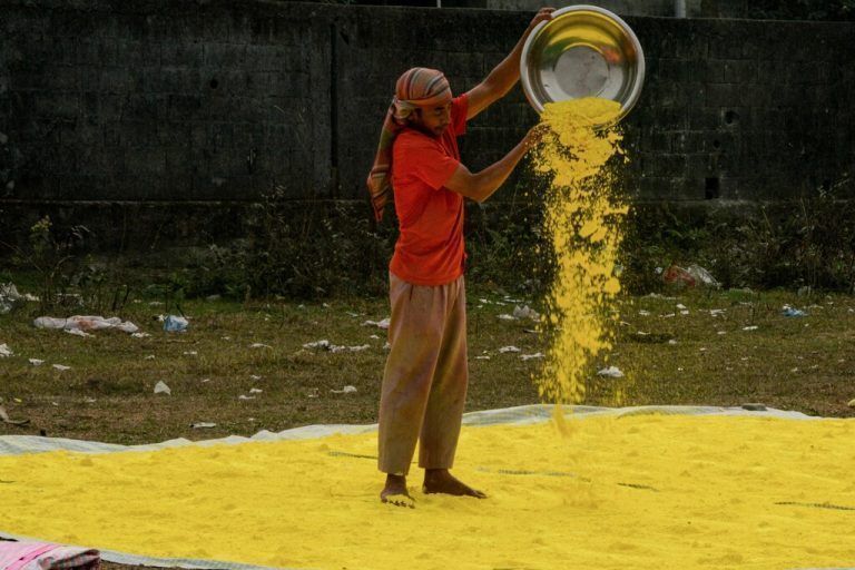 Bei Siliguri in Indien trocknet ein Arbeiter Gulal (Farbpulver) anlässlich des bevorstehenden hinduistischen Frühlingsfests Holi. AFP