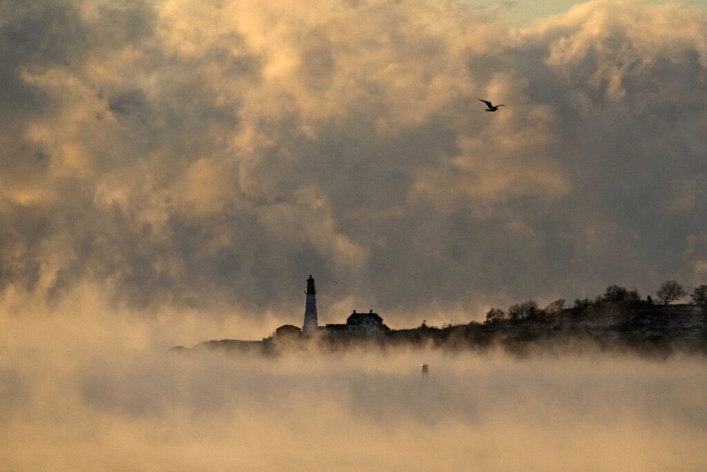 Bilder des Tages