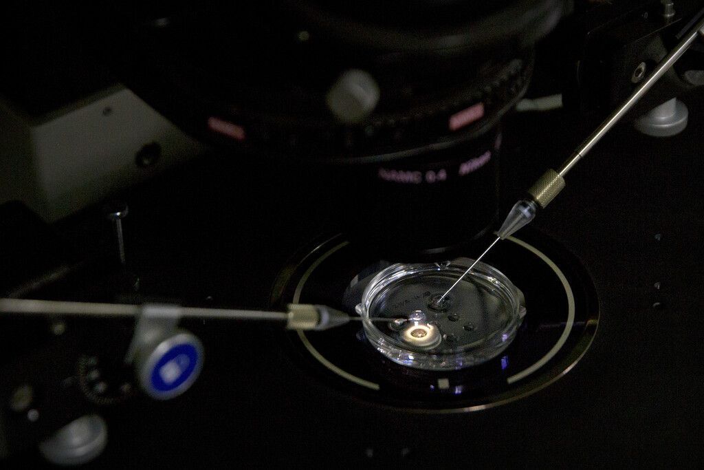 Umstrittener Forscher: Gen-Babys führen &#8220;normales Leben&#8221;