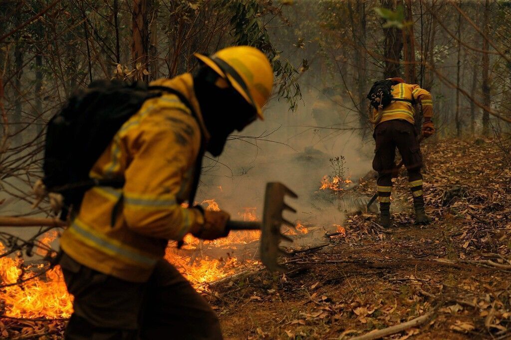 Mehr als 250 Waldbrände wüten in Chile: Notstand in drei Regionen