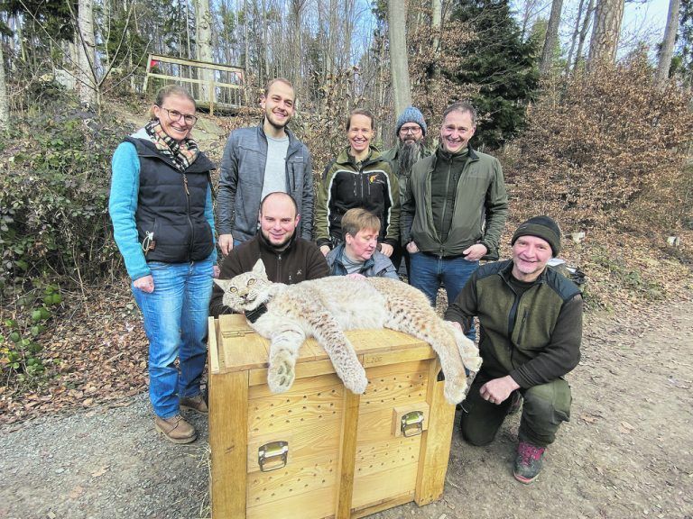 Die Wildnis ruft