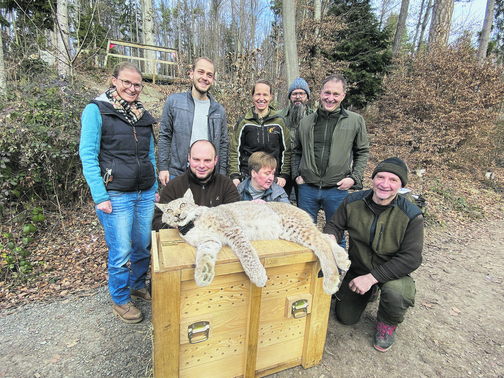 Die Wildnis ruft