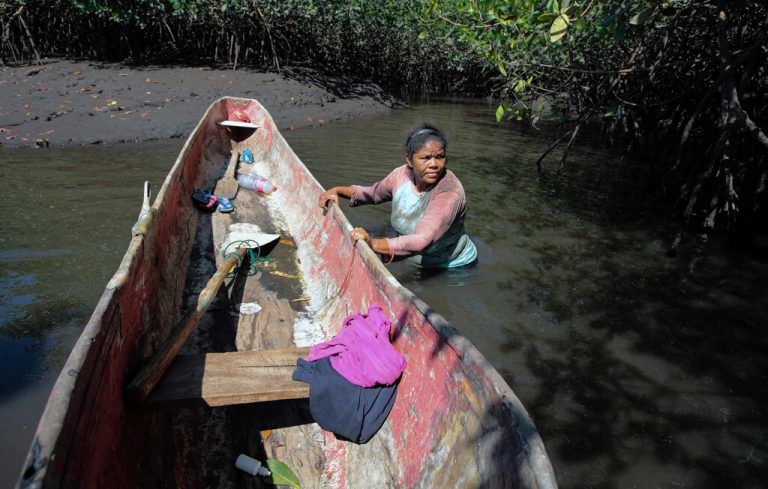 In einem Mangrovensumpf sammelt eine Bewohnerin der Stadt Aserradores in Nicaragua Muscheln. AFP