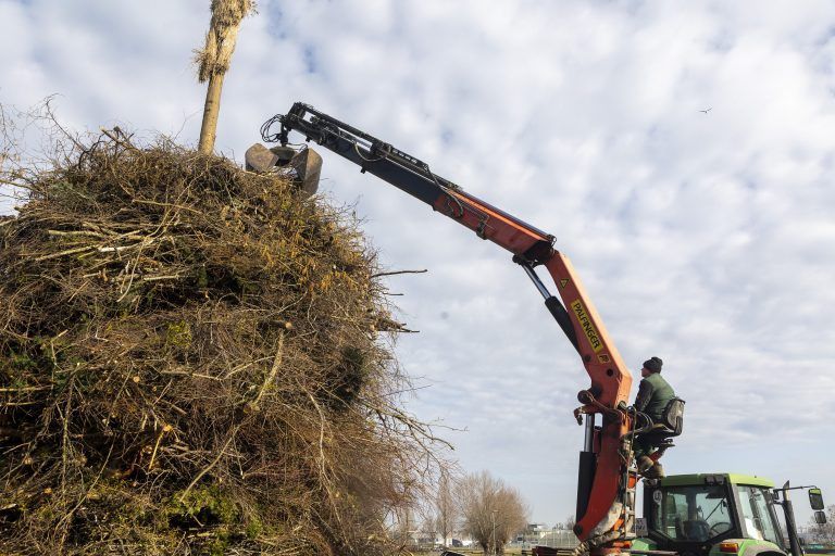 Gebaut wird, so hoch der Kran reicht.