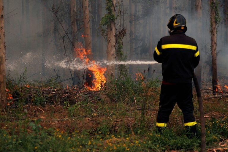 Verheerende Waldbrände: Feuerwehrleute versuchen, ein Feuer in Santa Juana, Provinz Concepcion, Chile, zu löschen. AFP