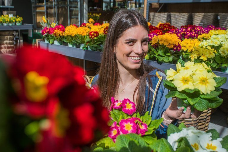 Die Saison läuten traditionell Frühlingsblüher wie Narzissen, Tulpen, Primeln oder Stiefmütterchen ein.