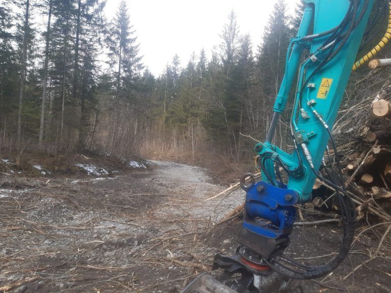 Das Holz wurde im Bachbett abtransportiert. <span class="copyright">Herbst</span>