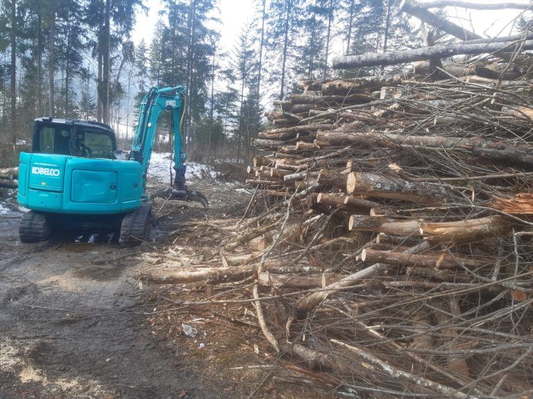 Während die Holzschlägerungen nicht bewilligungspflichtig waren, dürfte die Sachlage für das Planieren des Bachbetts eine andere sein. <span class="copyright">Herbst</span>