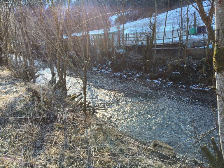 Der Engebach (teilweise auch Gießenbach genannt) auf Höhe des Fußballplatzes. Auch hier sind die Transportfahrten noch gut sichtbar. <span class="copyright">VN/Gasser</span>