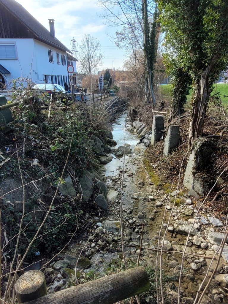 Sanierung des Lochauer Dorfbachs ist abgeschlossen