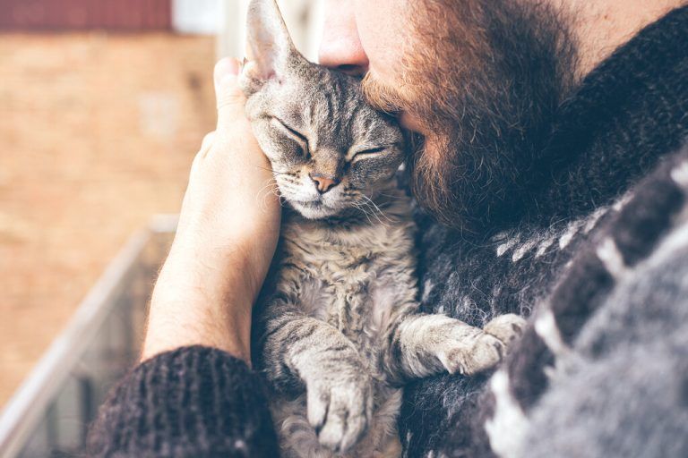 Auch beim Kuscheln mit Tieren wird das Hormon Oxytocin ausgeschüttet.