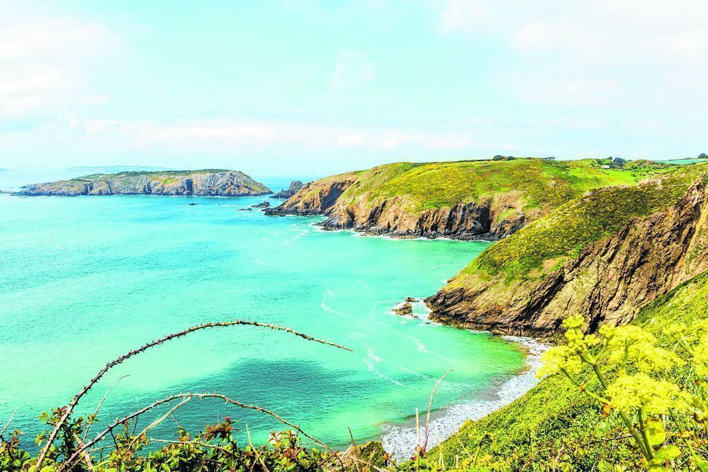 Guernsey im Frühling