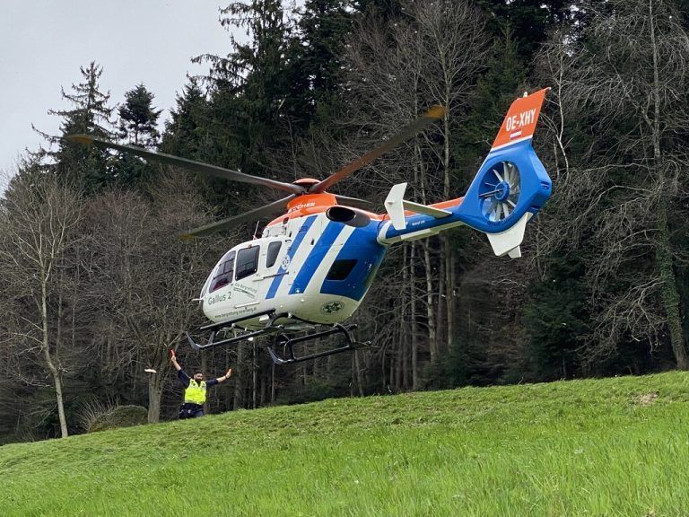 Autofahrerin bei Aufprall gegen Baum getötet