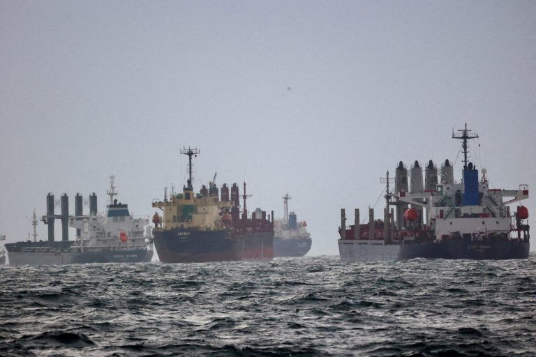 Schiffe warten auf die Inspektion im Rahmen der Schwarzmeergetreideinitiative am südlichen Ankerplatz des Bosporus in Istanbul, Türkei. Reuters