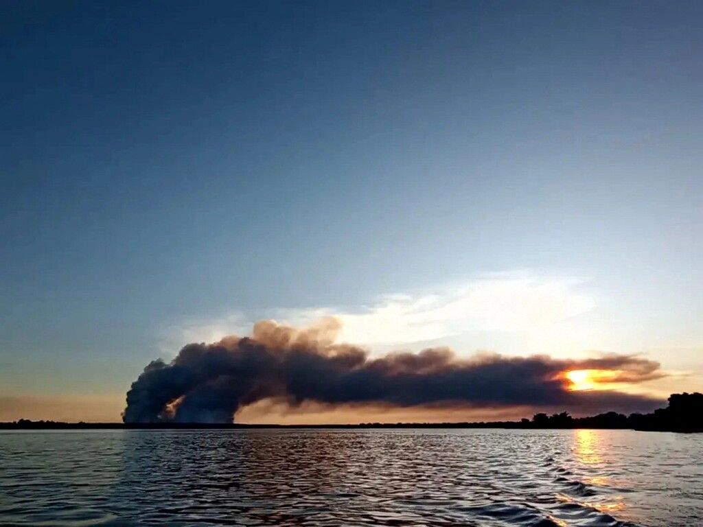 Waldbrände durch heftige Hitzewelle