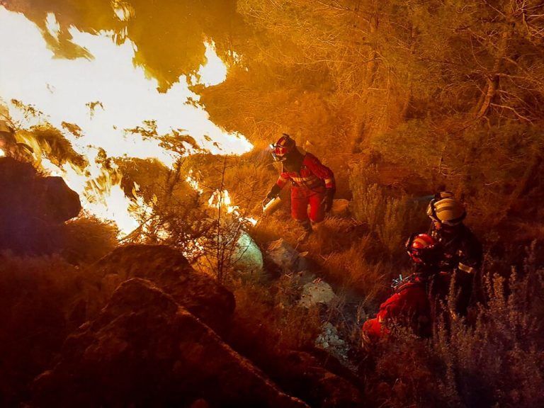 Seit letzter Woche wurden rund 4300 Hek­tar Landfläche zerstört. afp
