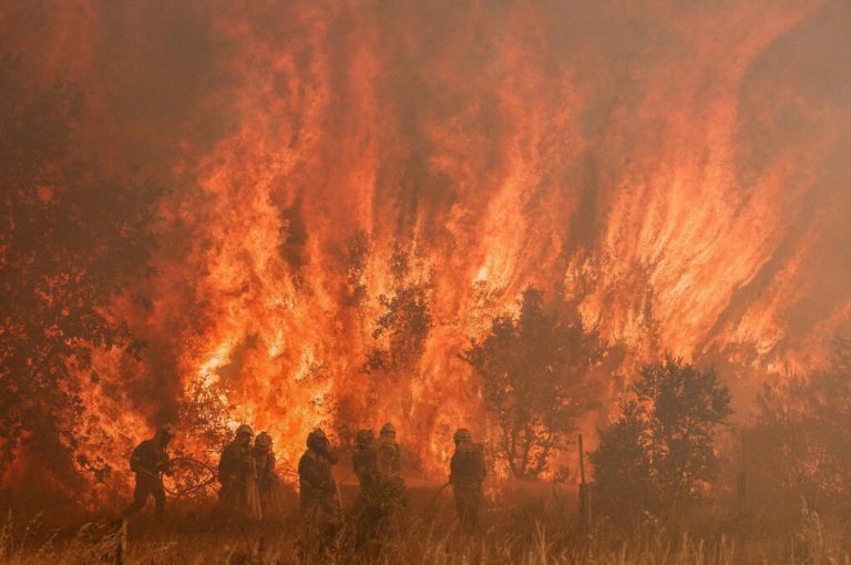 Starke Winde haben die schnelle Ausbreitung der Flammen begünstigt. AFP