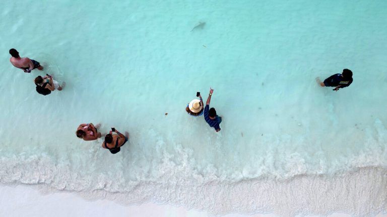 Touristen beobachten einen neugeborenen Schwarzspitzen-Riffhai am Strand von Maya Bay im Phi Phi Island National Park, Thailand.  Reuters
