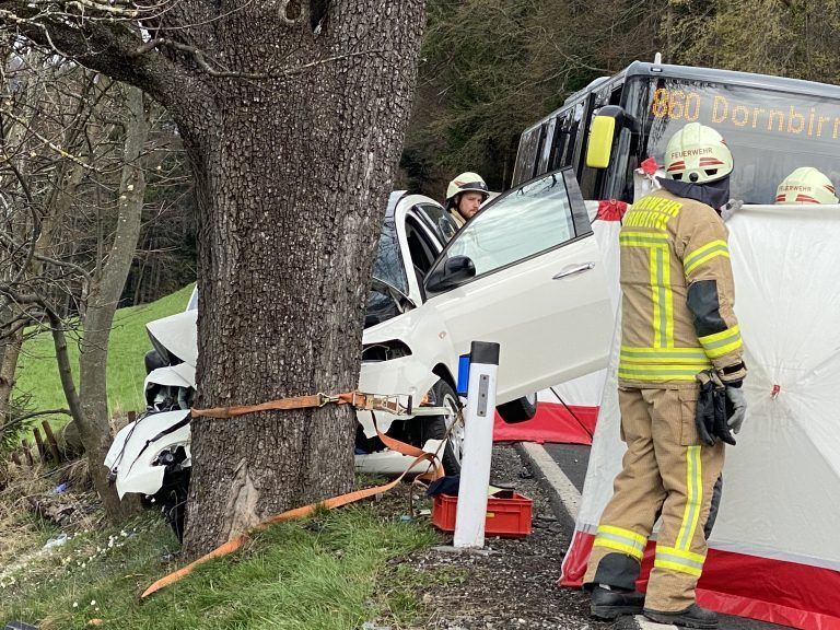 Der Pkw prallte gegen einen Baum, für die Lenkerin kam jede Hilfe zu spät. vol.at/Mayer