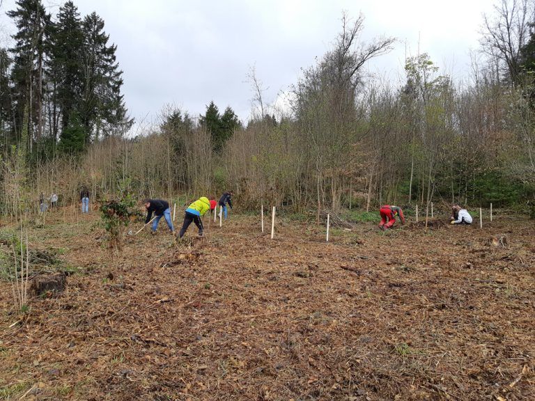 17 Schülerinnen und Schüler des BG Bludenz kamen nach Frastanz-Fellengatter um den Wald aufzuforsten.