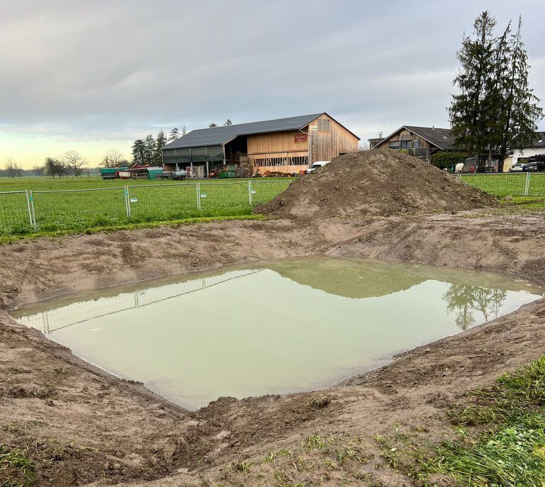 Ein Versuchssee soll ausloten, ob an dieser Stelle ein Badesee möglich ist.
