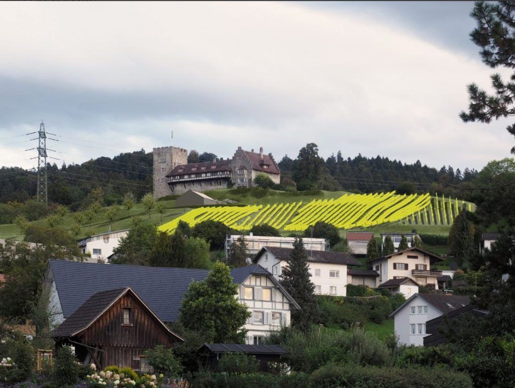 Wolfurter Weinberg nimmt Gestalt an