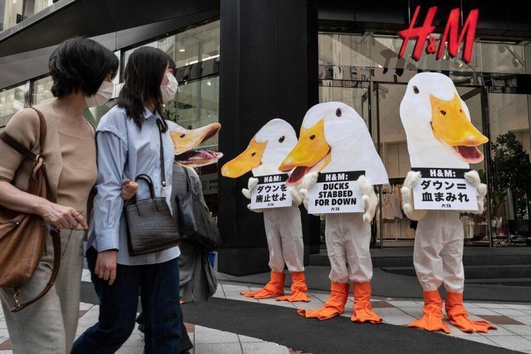 Aktivisten der Tierschutzorganisation PETA demonstrieren in Entenkostümen vor mehreren Bekleidungsgeschäften in Tokio. AFP