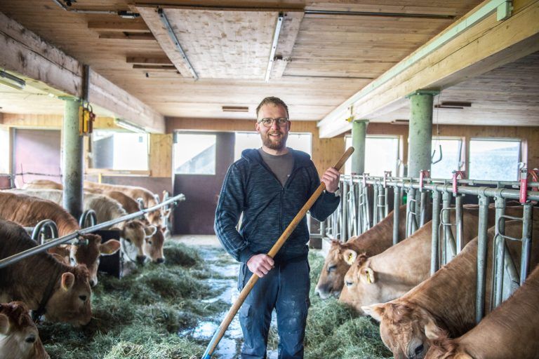 Am Christahof wird auch auf Mutterkuhhaltung gesetzt. VN/Rhomberg