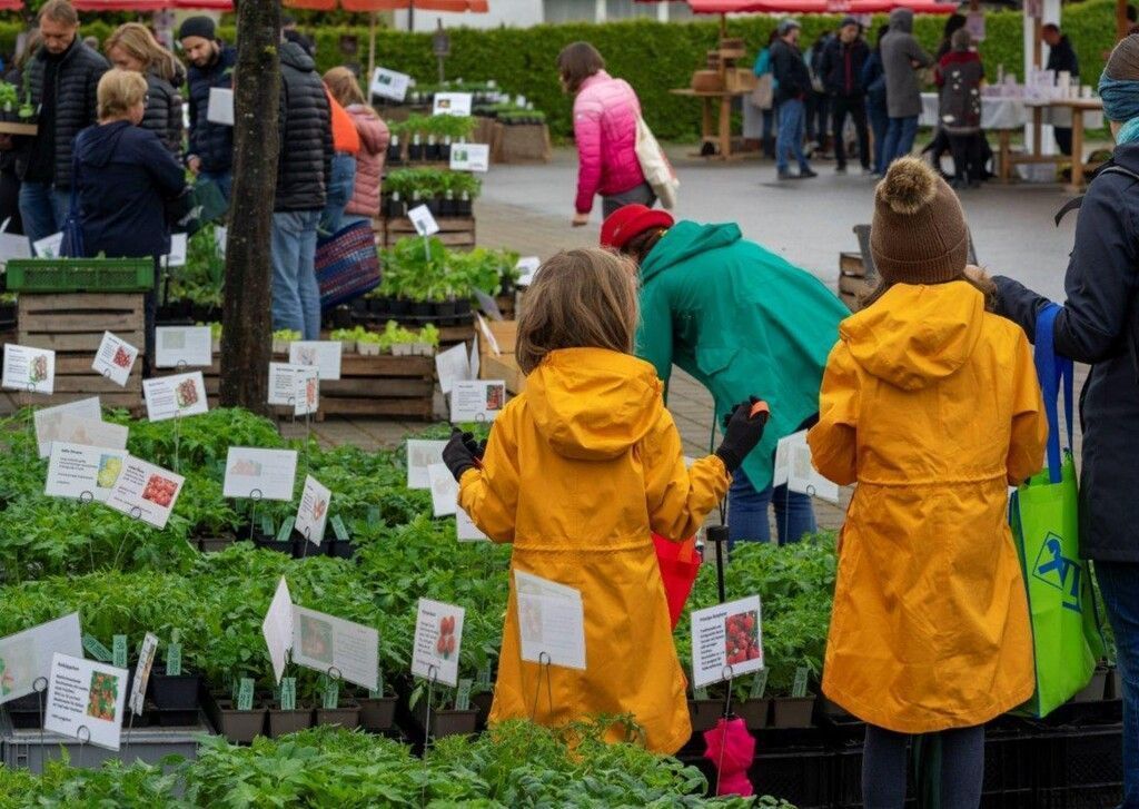 Marktzeit in Koblach
