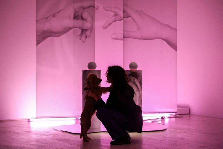 Angesichts des baldigen Welttags der Streunertiere rief das Museum für zeitgenössische Kunst in Athen zum Besuch mit Hund auf. REUTERS