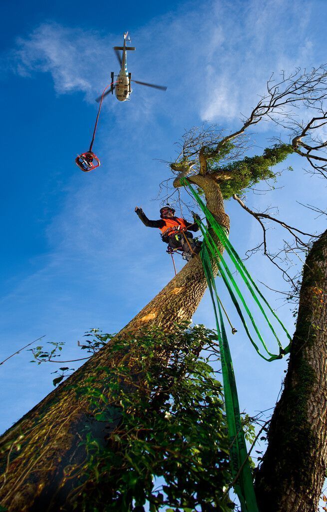 Ein Treffpunkt für Forstinteressierte