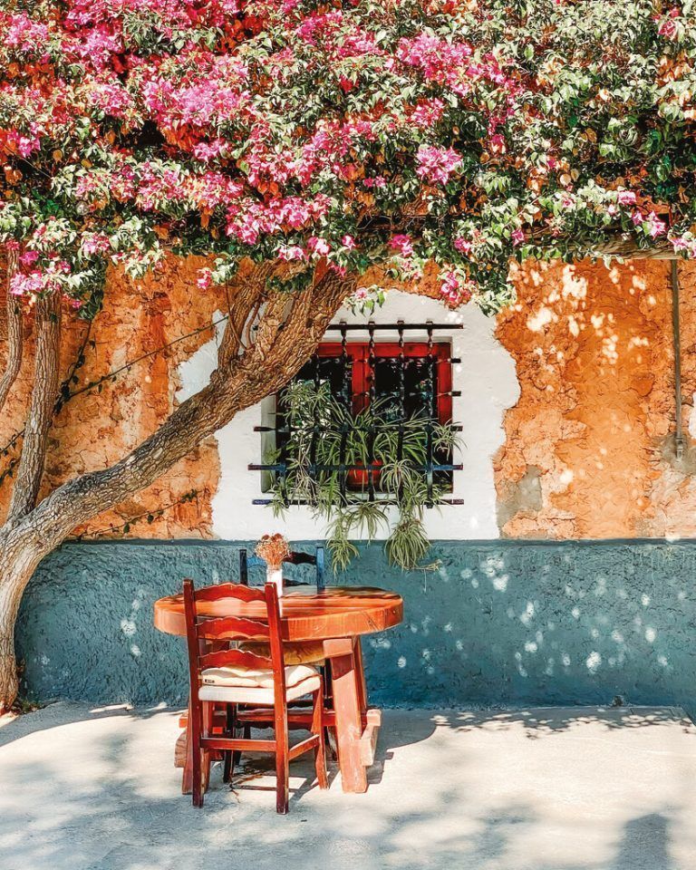 Auf Ibiza findet man überall traumhaft schöne Ecken und schattige Plätzchen zum Entspannen. Unsplash/Slow Ibiza