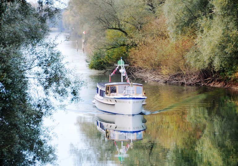 Boote mit größerem Tiefgang waren im Vorjahr selten auf dem Alten Rhein unterwegs. AJK