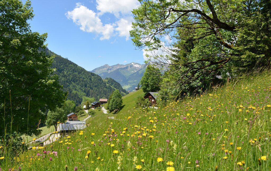 Ein gutes Leben in den Alpen