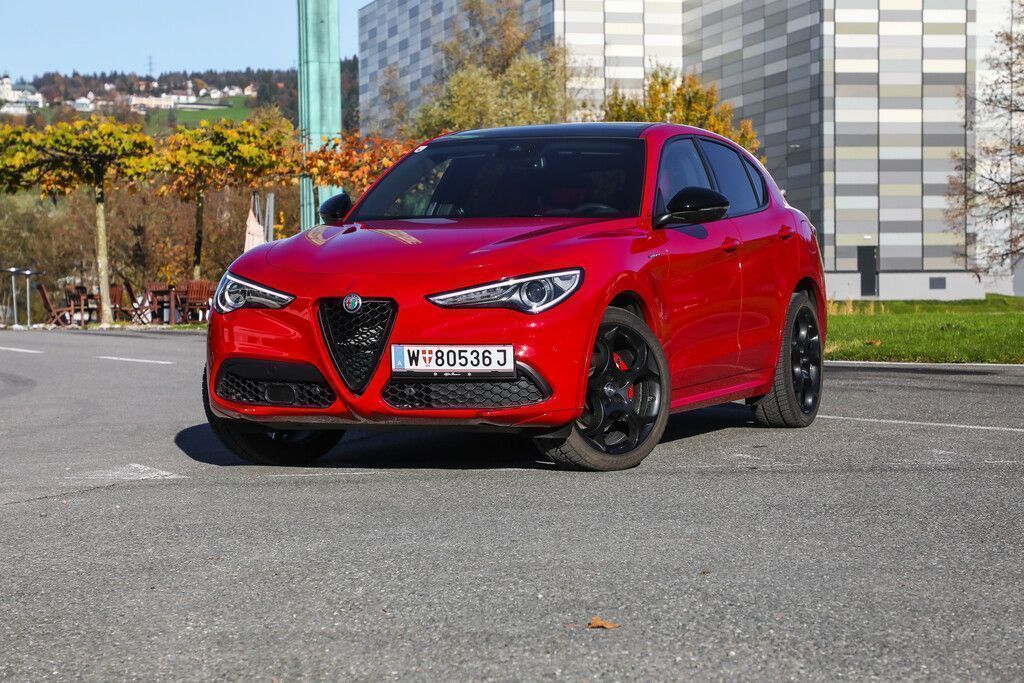 Stilsicheres und sportgieriges Alfa-Tier