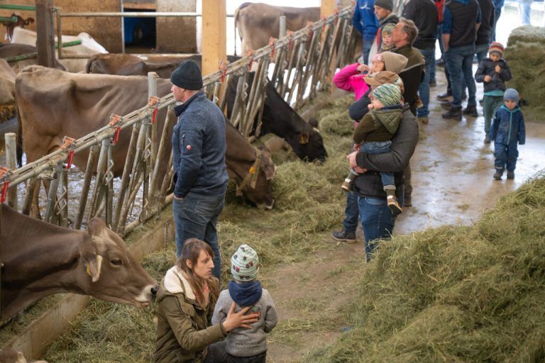 Die offene Stalltür zog zahlreiche Besucher an.