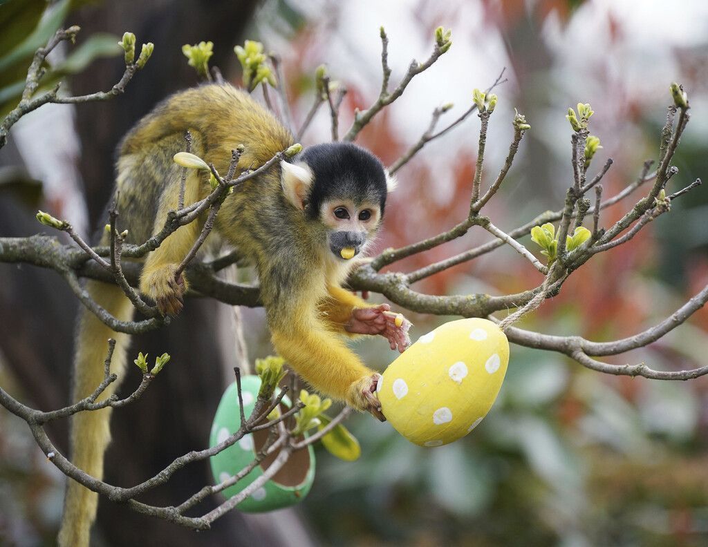 Tierischer Osterspaß
