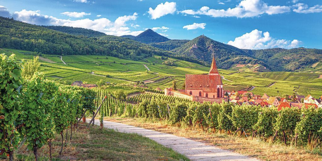 Mit Wind im Haar zum Wein