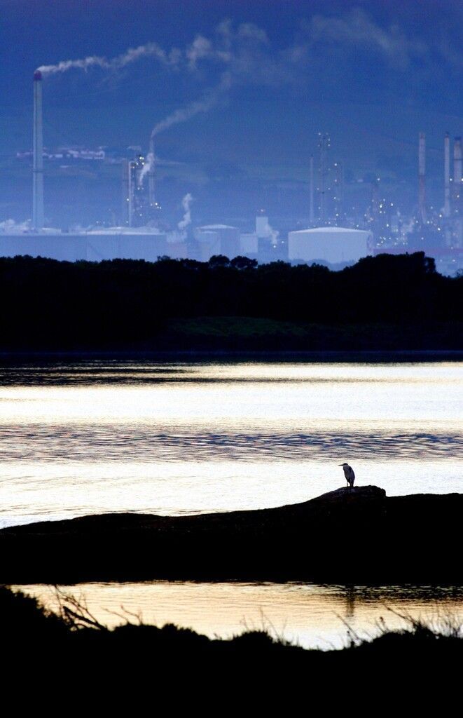 REUTERS