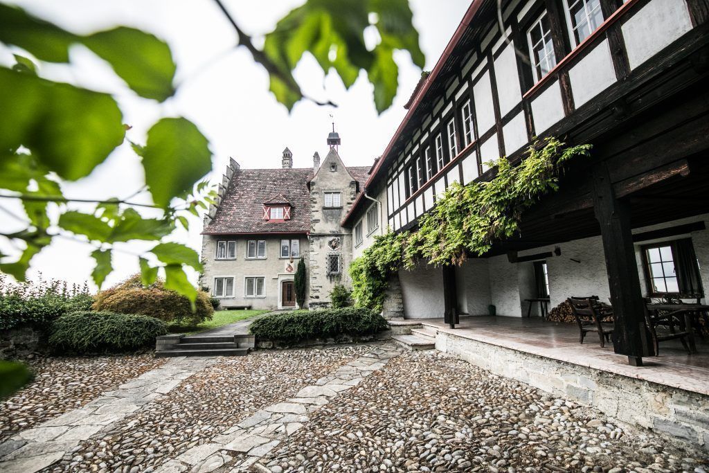 Wolfurter Weinberg nimmt Gestalt an