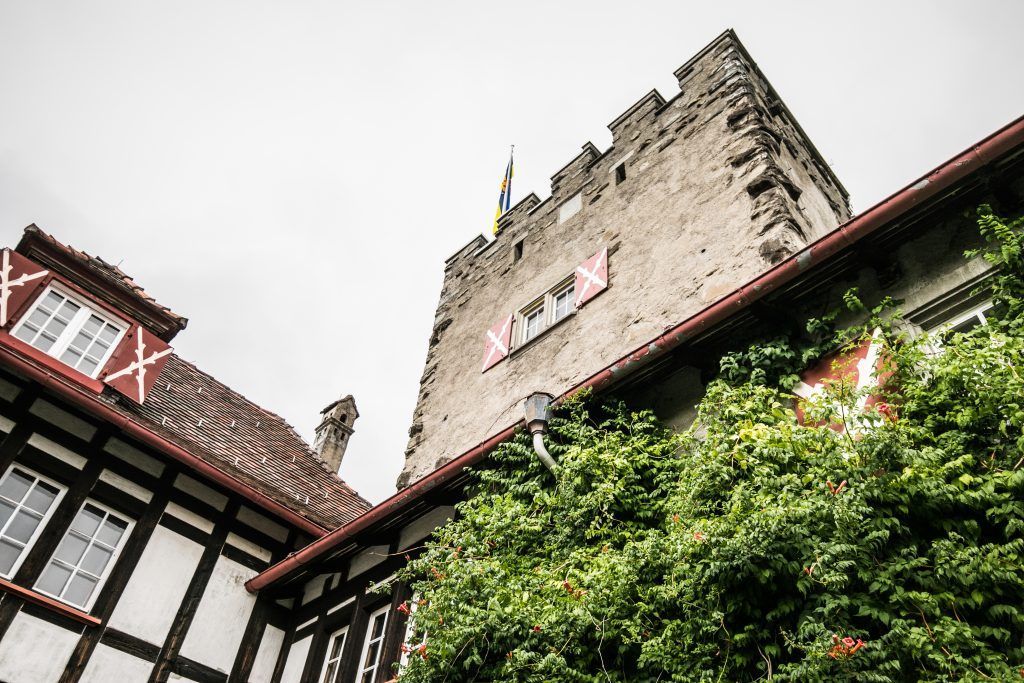 Wolfurter Weinberg nimmt Gestalt an