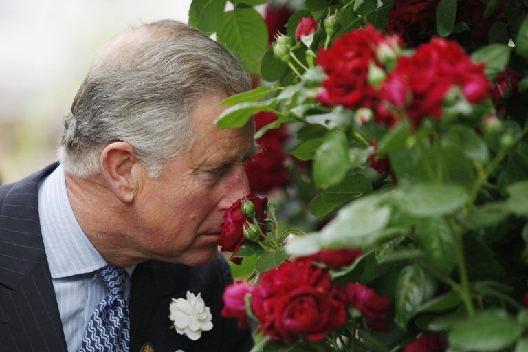 In seinem Gartenparadies Highgrove hat Charles ein Königreich für die Natur geschaffen. <span class="copyright">ap</span>
