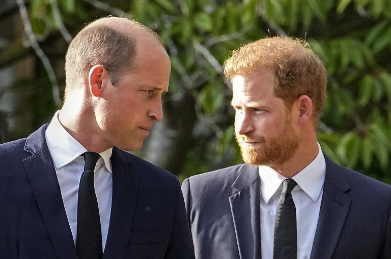 Prinz Harry (r.) wird zur Krönung kommen. Seine Frau Meghan bleibt in den USA.