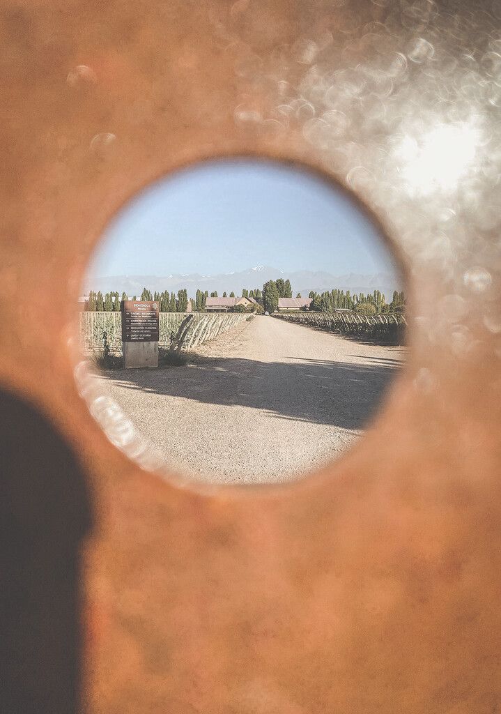 Das Weingut Susana Balbo Wines überzeugt mit guten Weinen und schöner Architektur.