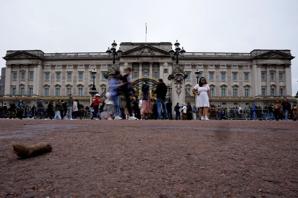 Festnahme und kontrollierte  Explosion vor Buckingham-Palast